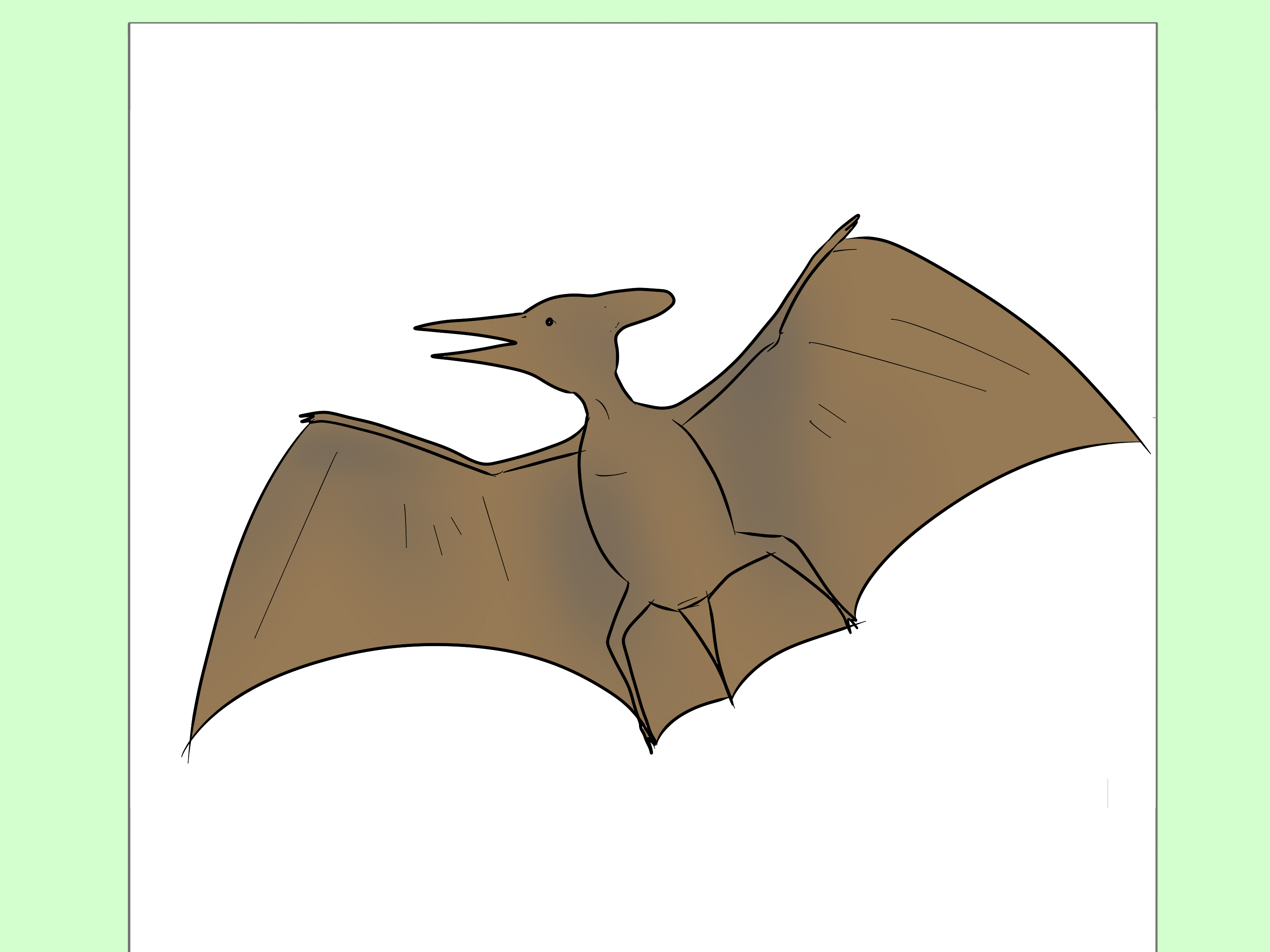 Pterodactyl Drawing Stunning Sketch