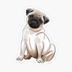 Pug Drawing Art