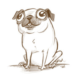 Pug Drawing Artistic Sketching