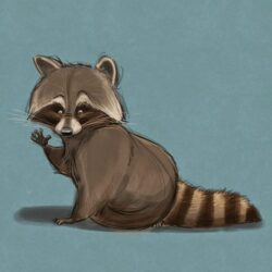 Racoon Drawing Art