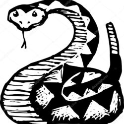 Rattlesnake Drawing Art