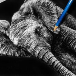 Realistic Elephant Drawing Intricate Artwork