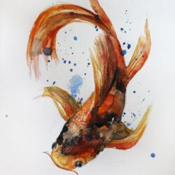 Realistic Fish Drawing Fine Art