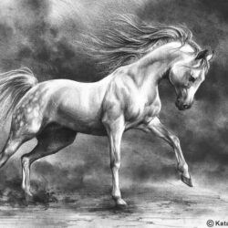 Realistic Horse Drawing Image