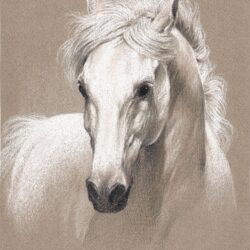 Realistic Horse Drawing Intricate Artwork
