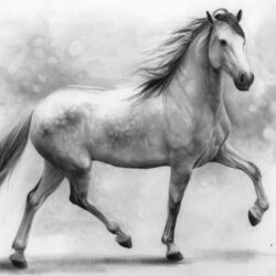 Realistic Horse Drawing Professional Artwork