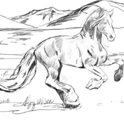Realistic Horse Drawing Stunning Sketch