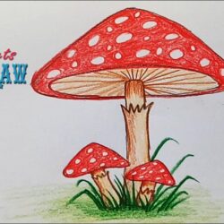 Realistic Mushroom Drawing