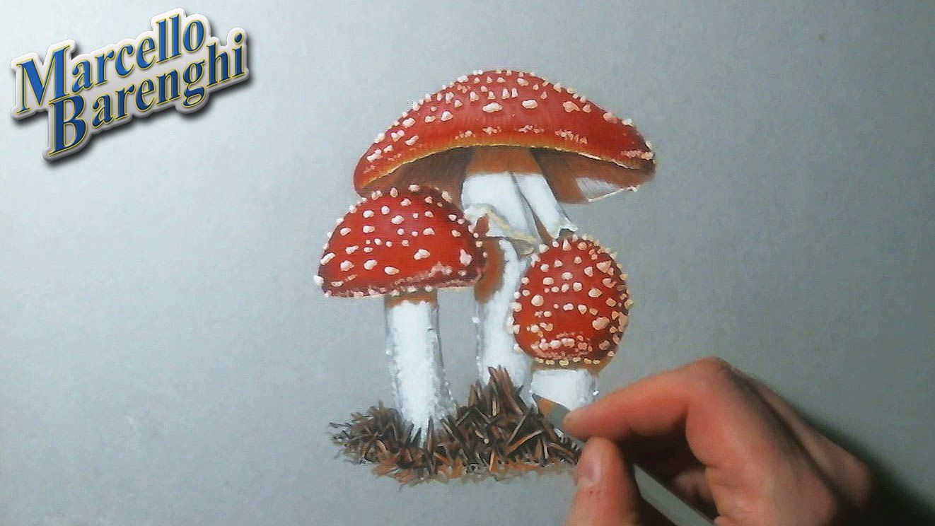 Realistic Mushroom Drawing Creative Style