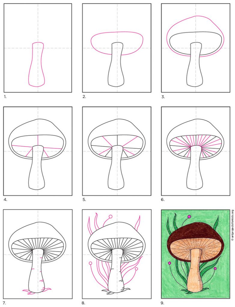 Realistic Mushroom Drawing Sketch