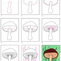 Realistic Mushroom Drawing Stunning Sketch