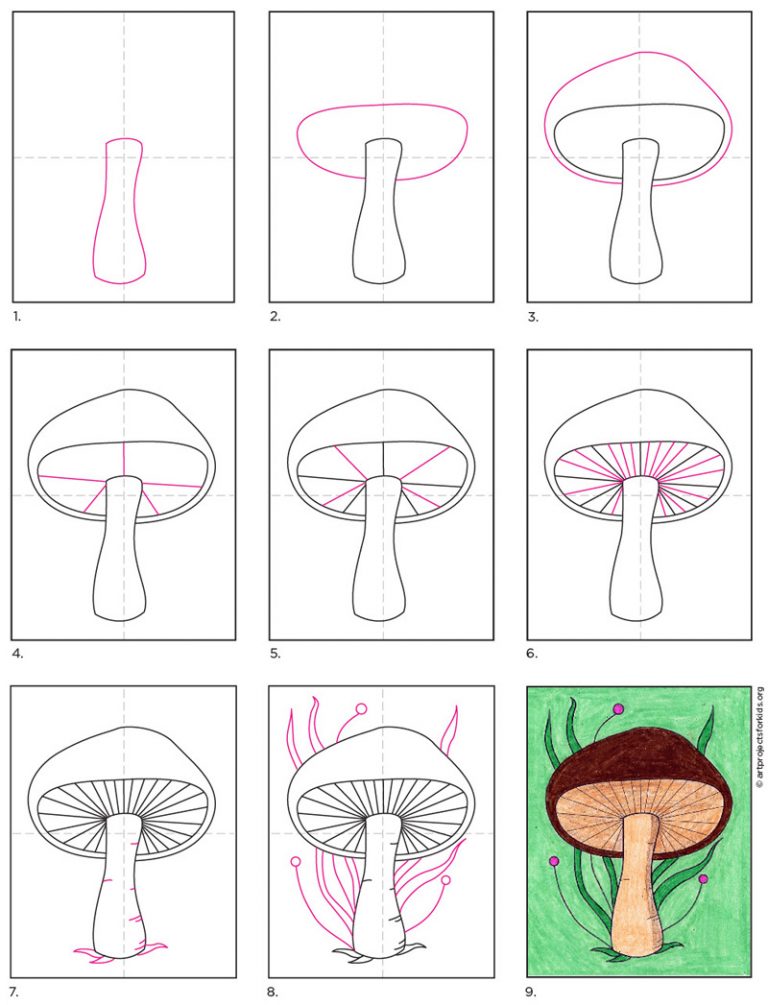 Realistic Mushroom Drawing Stunning Sketch