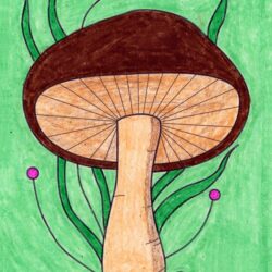 Realistic Mushroom Drawing Unique Art