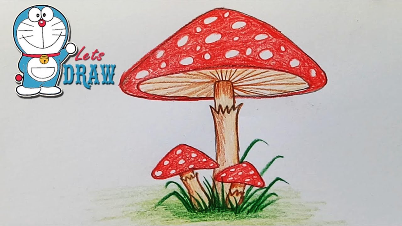Realistic Mushroom Drawing
