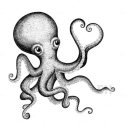 Realistic Octopus Drawing Art