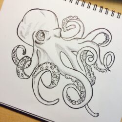 Realistic Octopus Drawing Detailed Sketch