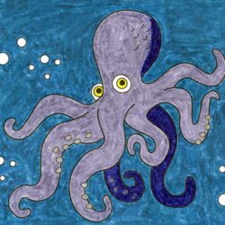 Realistic Octopus Drawing Fine Art