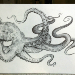 Realistic Octopus Drawing Hand Drawn