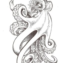 Realistic Octopus Drawing Modern Sketch