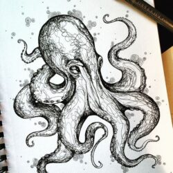 Realistic Octopus Drawing Unique Art
