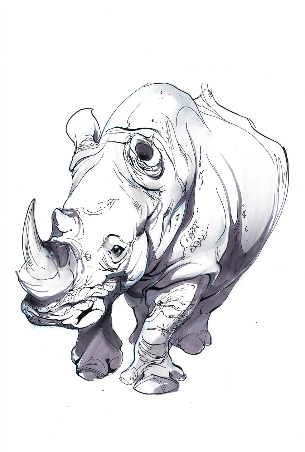 Rhino Drawing Creative Style