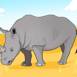 Rhino Drawing Image