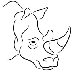 Rhino Drawing Intricate Artwork