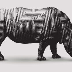 Rhino Drawing Stunning Sketch