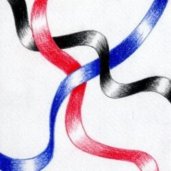 Ribbon Drawing Realistic Sketch