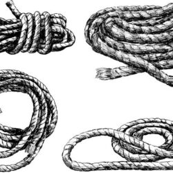 Rope Drawing Artistic Sketching