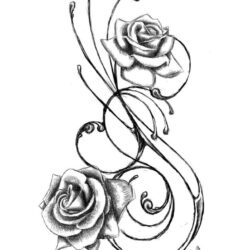 Rose Line Drawing Artistic Sketching