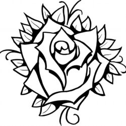 Rose Line Drawing Creative Style