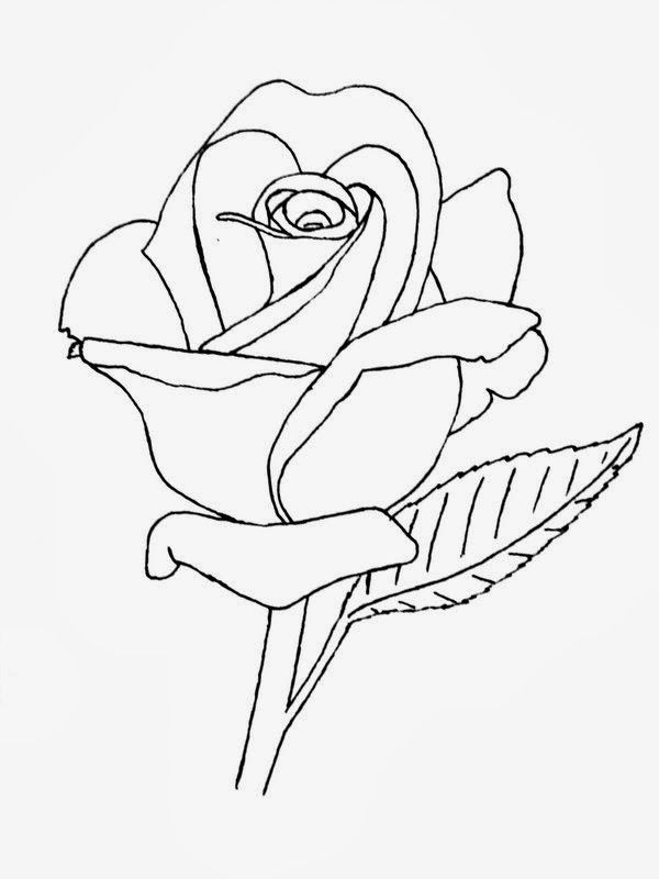 Rose Line Drawing Picture