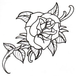 Rose Line Drawing Unique Art