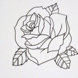 Rose Outline Drawing Hand Drawn