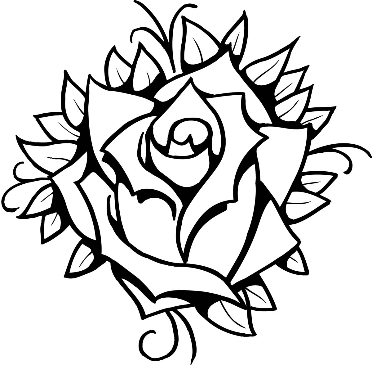 Rose Outline Drawing Hand Drawn Sketch
