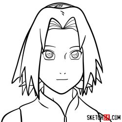 Sakura Drawing Modern Sketch