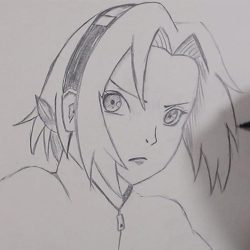 Sakura Drawing Stunning Sketch