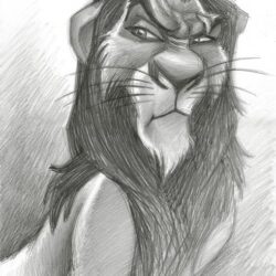 Scar Drawing Art