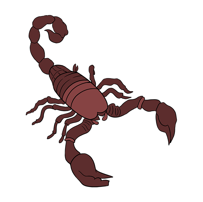 Scorpion Drawing Sketch