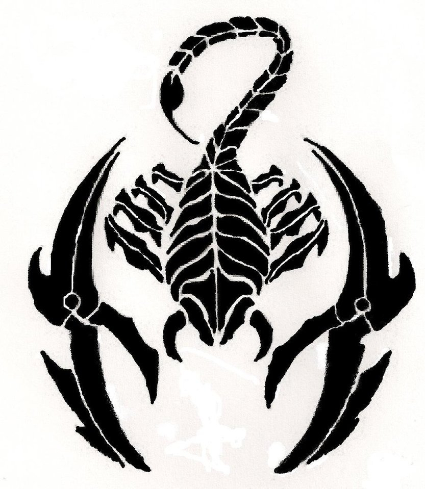 Scorpion Drawing