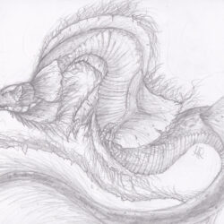 Sea Monster Drawing Sketch