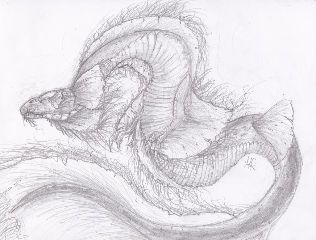 Sea Monster Drawing Sketch