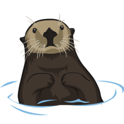 Sea Otter Drawing Amazing Sketch