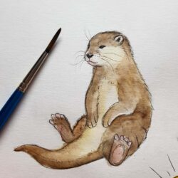 Sea Otter Drawing Realistic Sketch