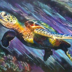 Sea Turtle Drawing Image