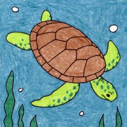 Sea Turtle Drawing Intricate Artwork