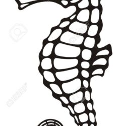 Seahorse Drawing Intricate Artwork