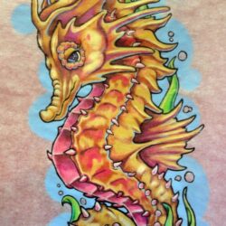 Seahorse Drawing Photo