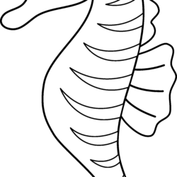 Seahorse Drawing Picture